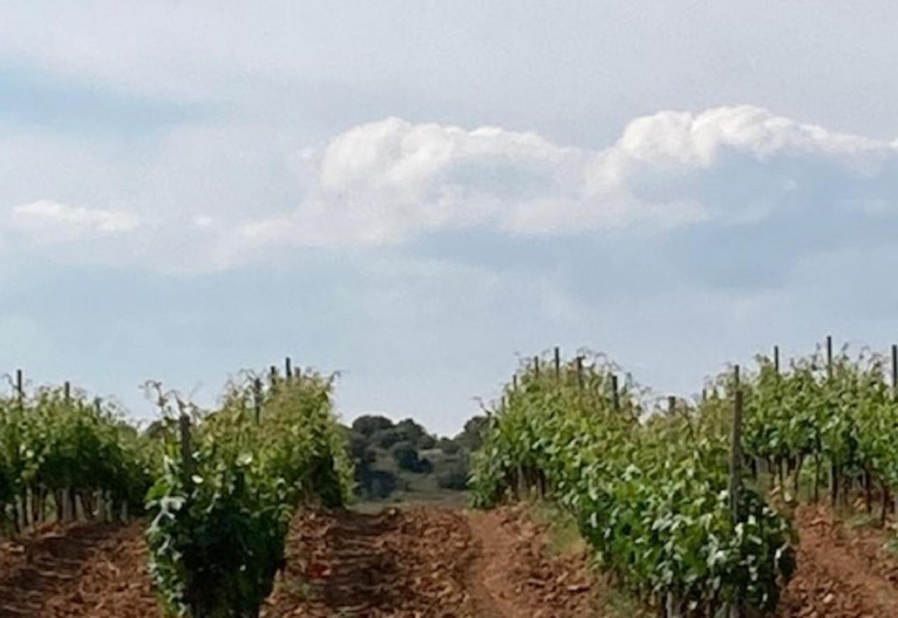 Apartamento Turistico Cerca Aranda De Duero La Ren Lecres Vadocondes المظهر الخارجي الصورة
